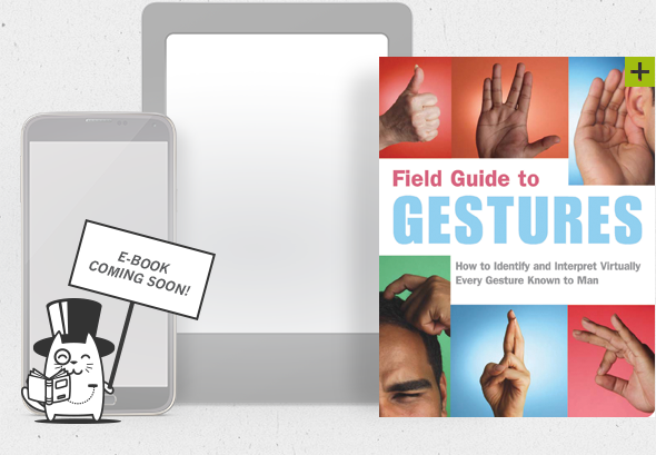 Field Guide to Gestures