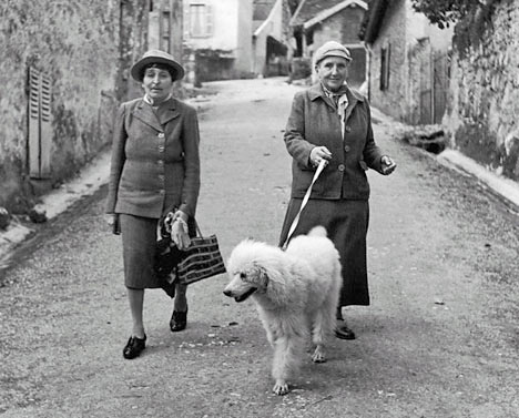 Five of Our Favorite Dog-Owning Literary Greats