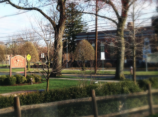 National Library Week: The Library Across the Street