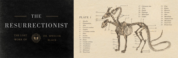 The Resurrectionist Chalks the Walk at NYC’s The Strand August 18!