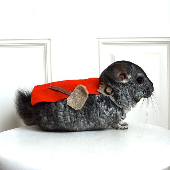 Eight Adorable Superhero Costumes For Your Small, Comic Book Loving Pet