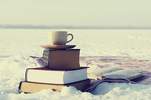 A Snowy Reading Quest: Great MG & YA Books To Read in the Winter