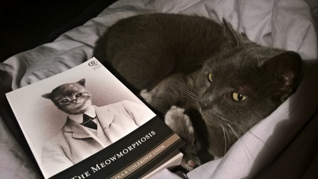 Happy Birthday Kafka: Win a Copy of The Meowmorphosis!