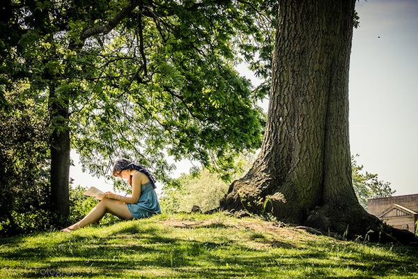 How-to Tuesday: Fantastic Trees to Read Under and Where to Find Them