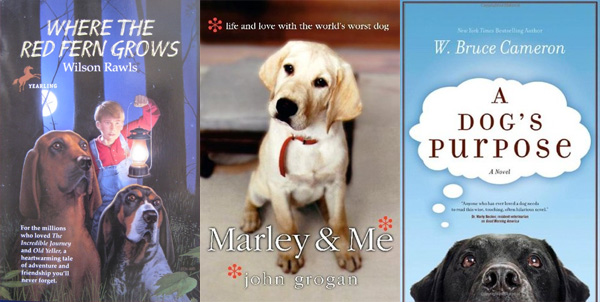 Dog Days of Summer: Ten of the Best Books About Man’s Best Friend