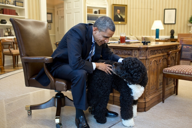 Celebrate National Dog Day with Our Fave Presidential Pups