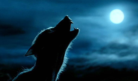 Worst-Case Wednesday: How to Adjust to Being a Werewolf