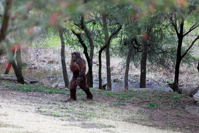 Worst-Case Wednesday: How to Survive an Encounter with a Bigfoot