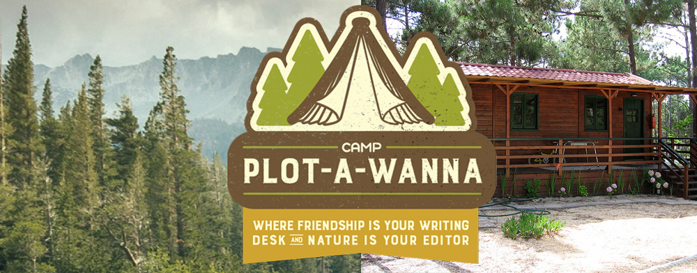 The Camp Plot-a-Wanna Store, Plus Giveaway!