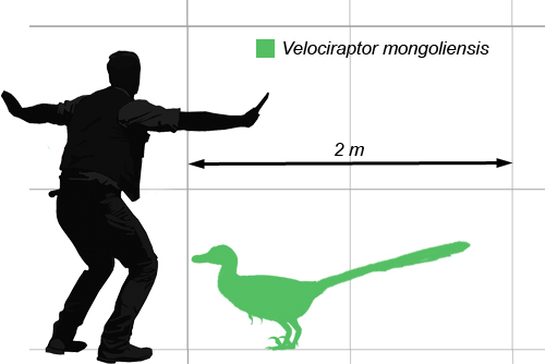 Quirk Corral: The Chris Pratt Dinosaur Scale & Coloring With Drake