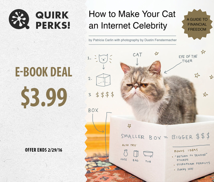 Quirk Perks: How to Make Your Cat an Internet Celebrity