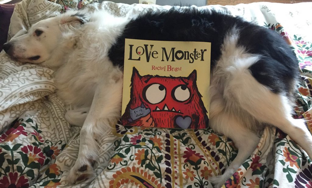 Book Recs from Quirk Dogs