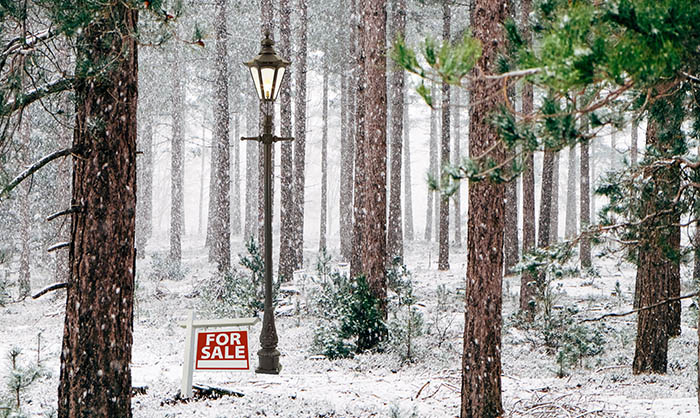 Narnia Real Estate Listings