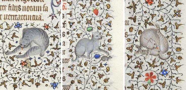 Quirky History: Cats in Medieval Manuscripts (Or Charming Jerks and the Devil Incarnate)