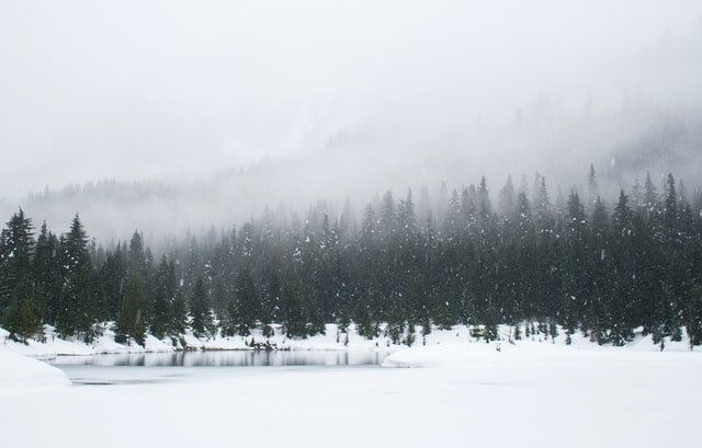 Books for Those Last Moments of Winter