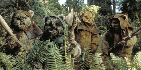 The Ewok’s Guide to Entertaining