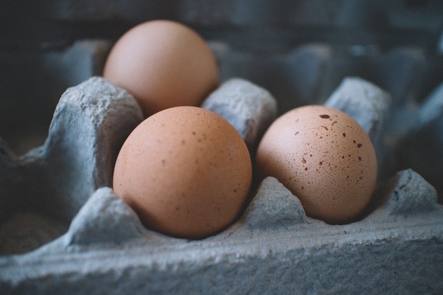 Exclusive! World Record Egg Moonlights as Book Cover Model