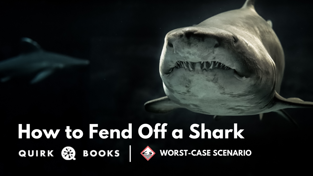 Summer Survival Week: How to Fend Off a Shark