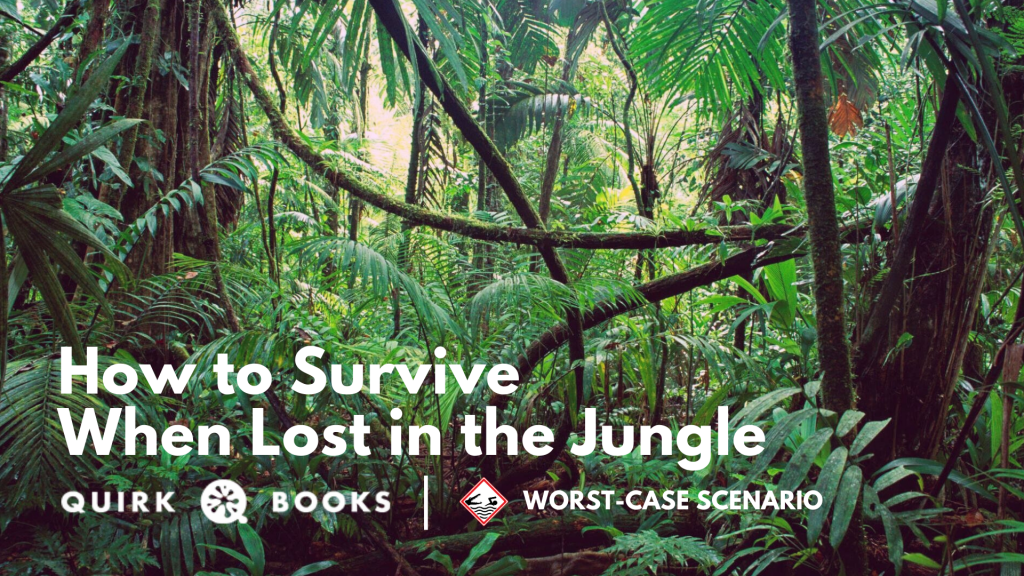Summer Survival Week: How to Survive When Lost in the Jungle
