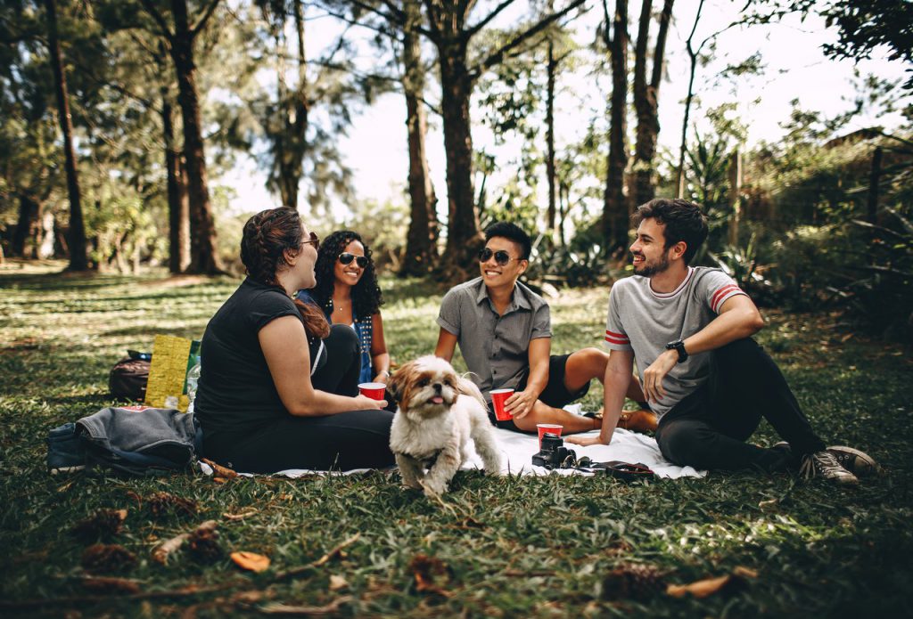 Literary Characters Paired with Picnic Spreads