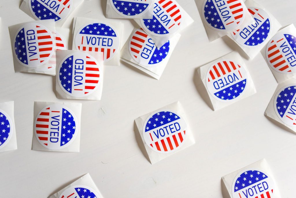Celebrate Voter Registration Day with These Quirk Political Books