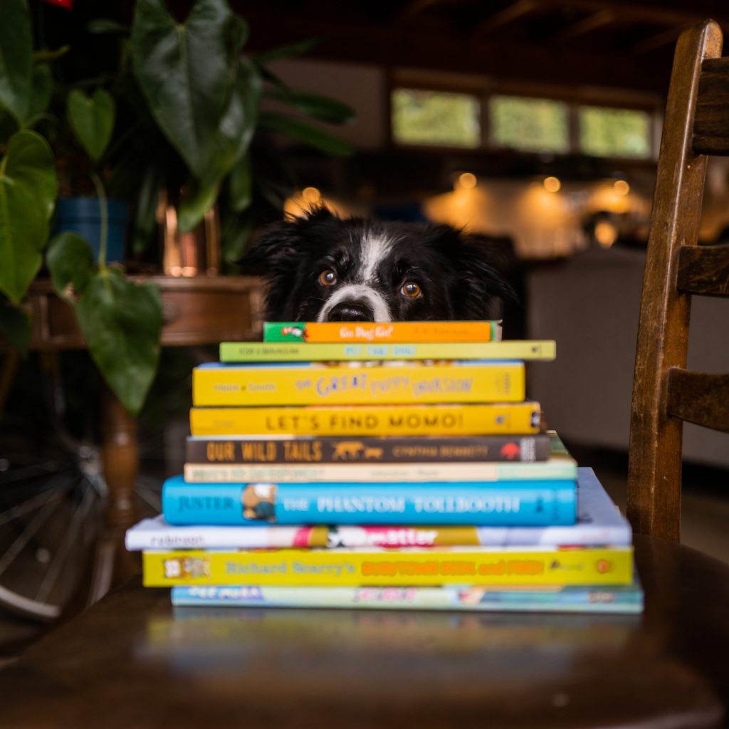 Children’s Books With Dogs Inside