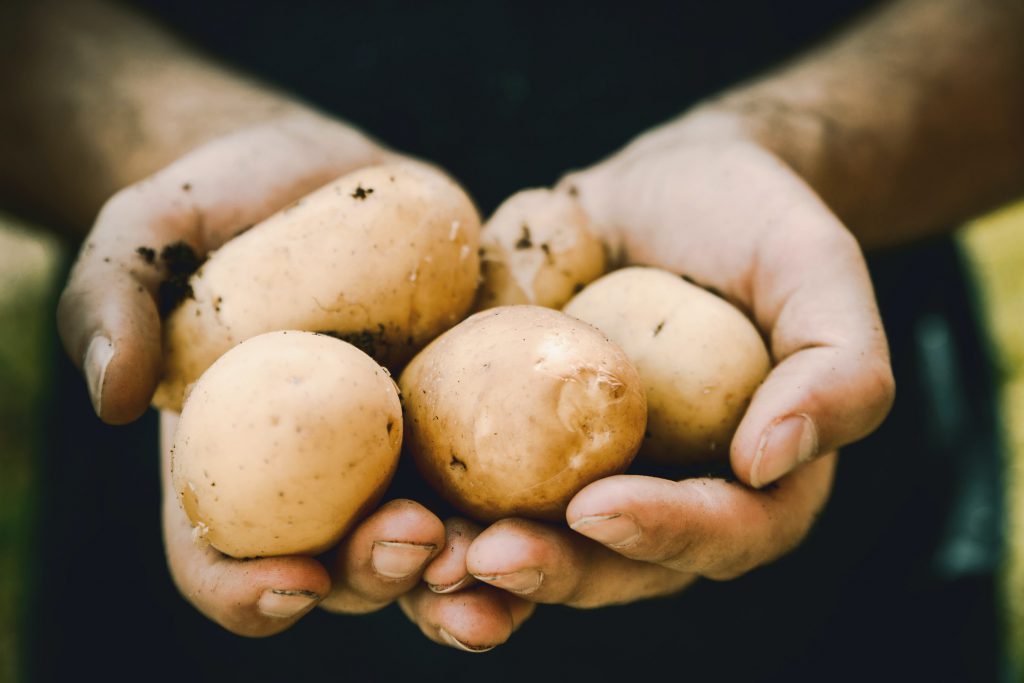 Potato & Book Pairings for National Potato Day