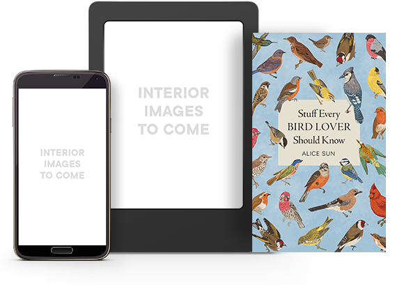 Stuff Every Bird Lover Should Know